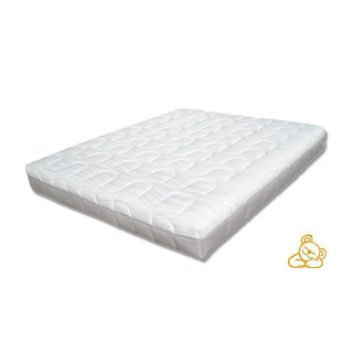 copy of copy of Brown bear cushion