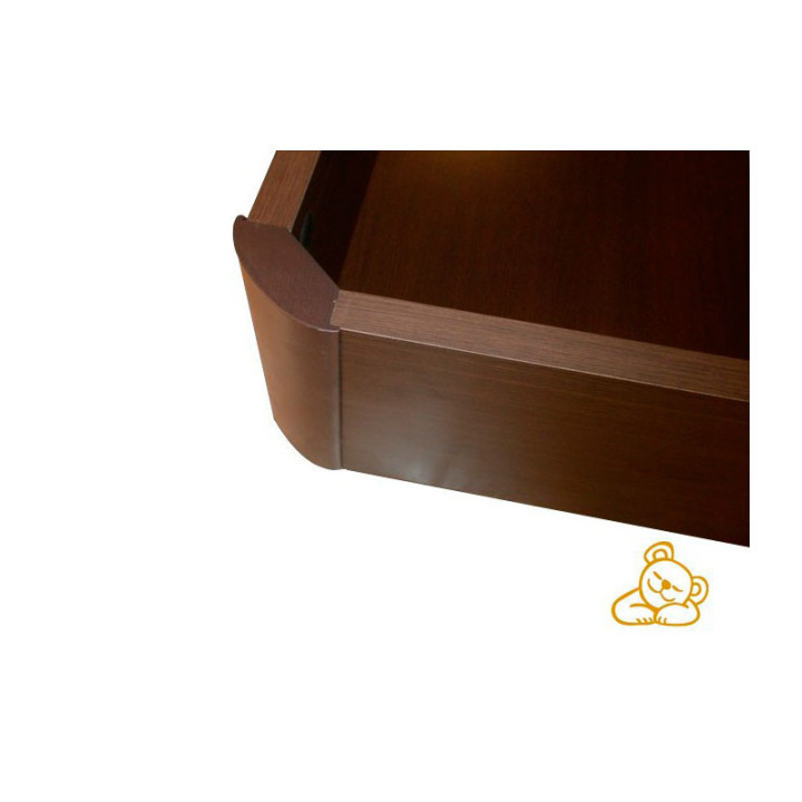 Brown bear - Vector graphics